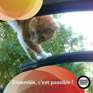 Meet your Posher, Zidane